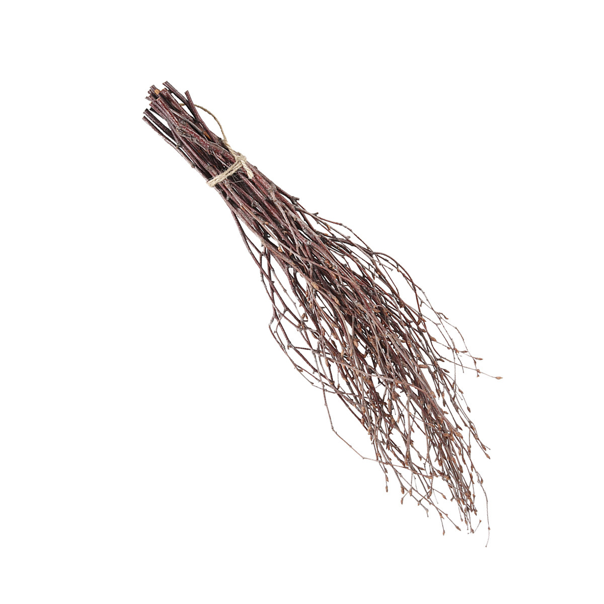 10Pcs 40Cm Premium Birch Branc - Craft Embellishments ulasan dan harga