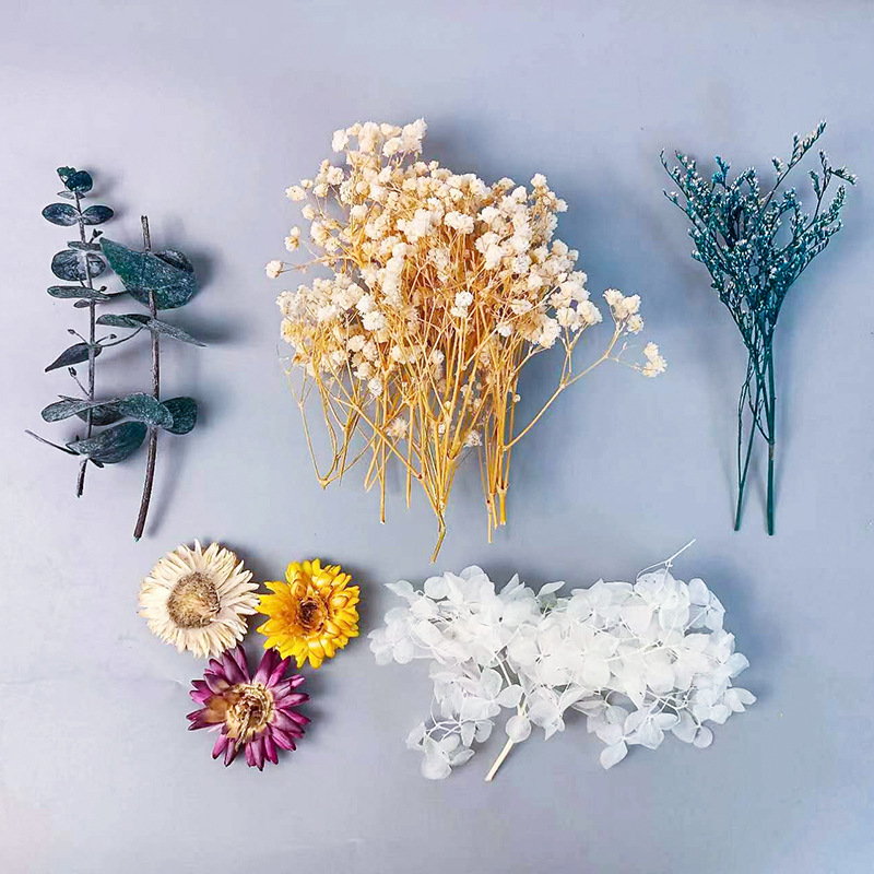 1pack Multifarious Dried Flowe - Embellish Craft ulasan dan harga