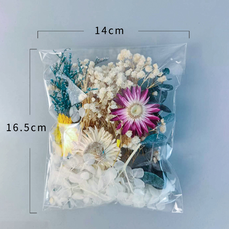 1pack Multifarious Dried Flowe - Embellish Craft ulasan dan harga