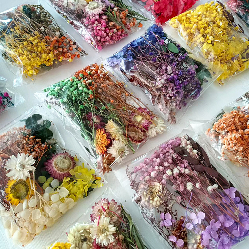 1pack Multifarious Dried Flowe - Embellish Craft ulasan dan harga